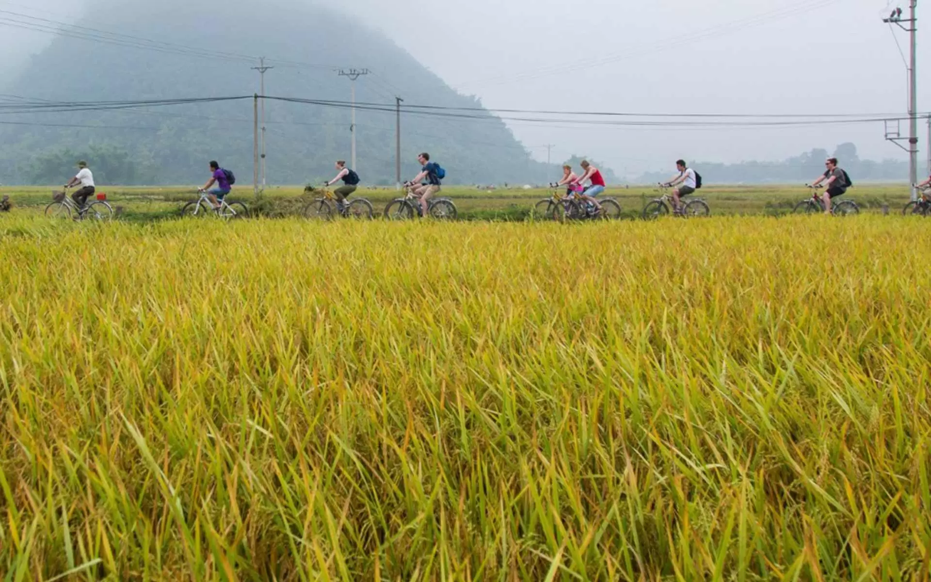 Bicycle Tour Hanoi Mai Chau Pu Luong 4 Days